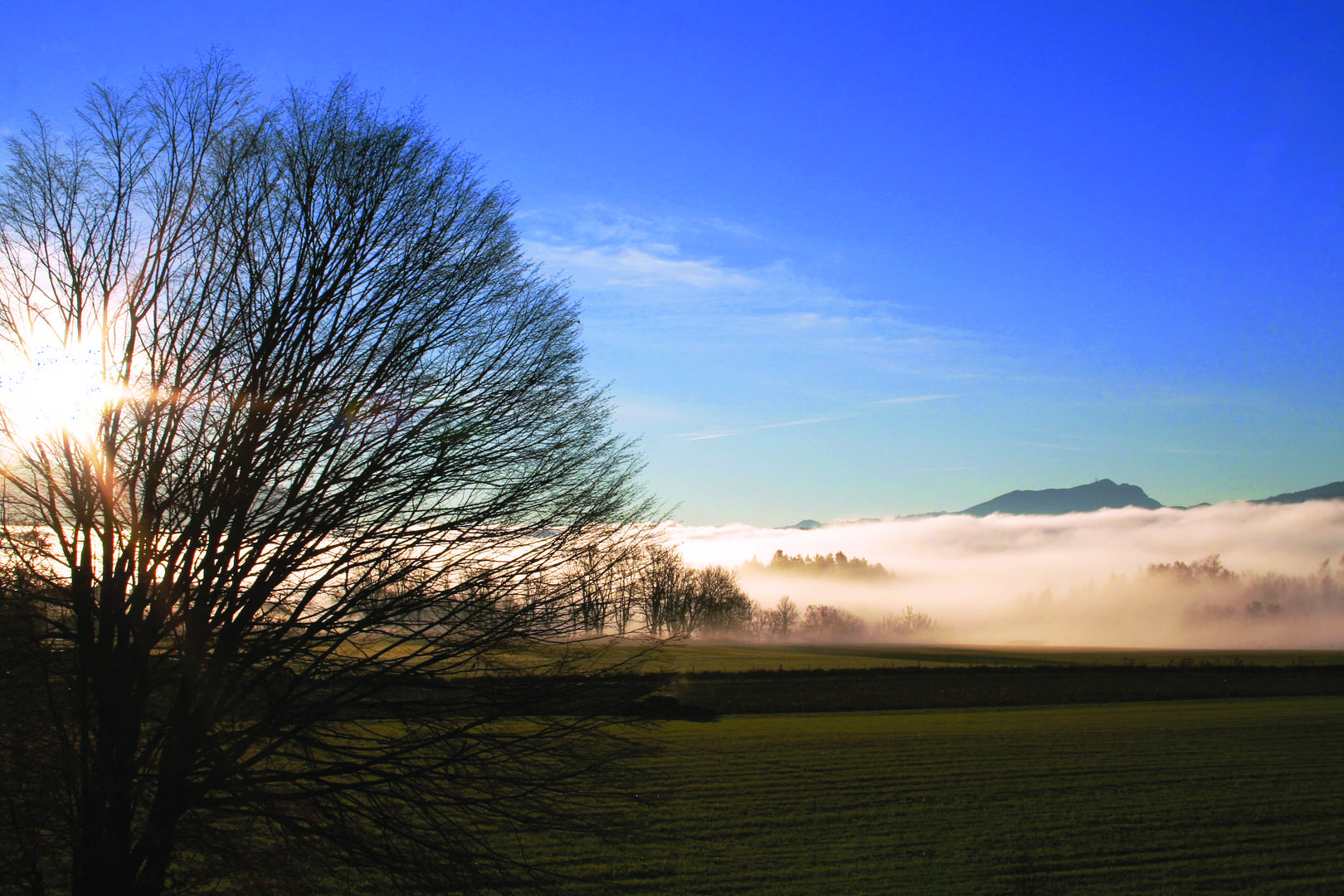 morgendliche Nebellandschaft