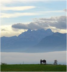 morgendliche Nebelschlange