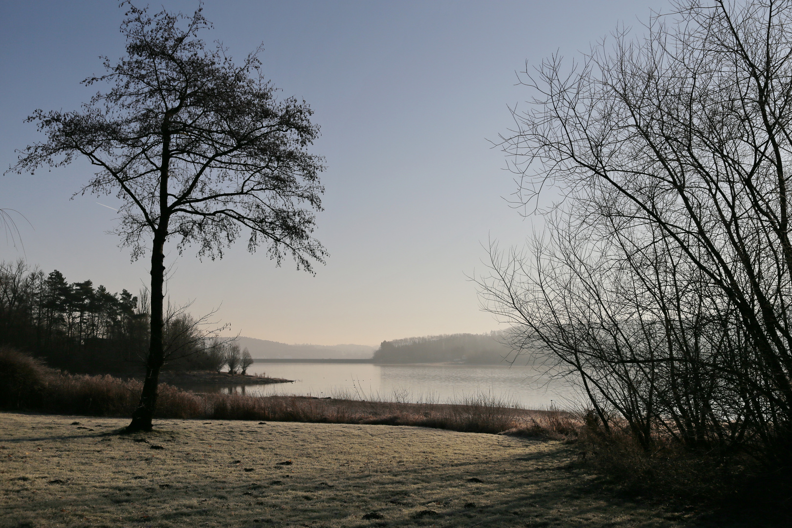 morgendliche Nebelstimmung am Möhnsee