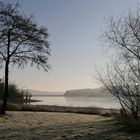 morgendliche Nebelstimmung am Möhnsee