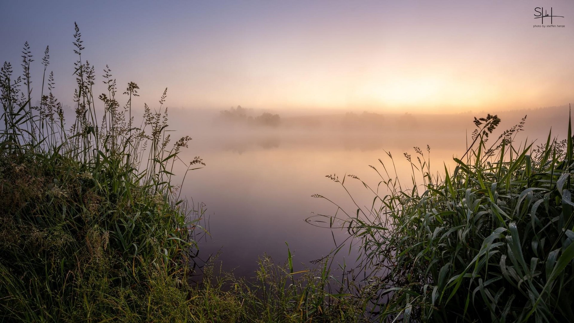 Morgendliche Nebelstimmung