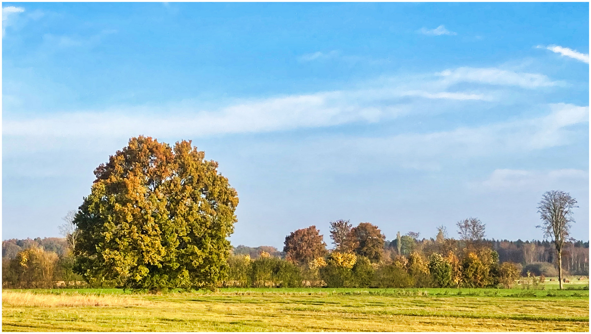 Morgendliche Radtour