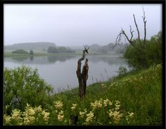 Morgendliche Ruhe am See