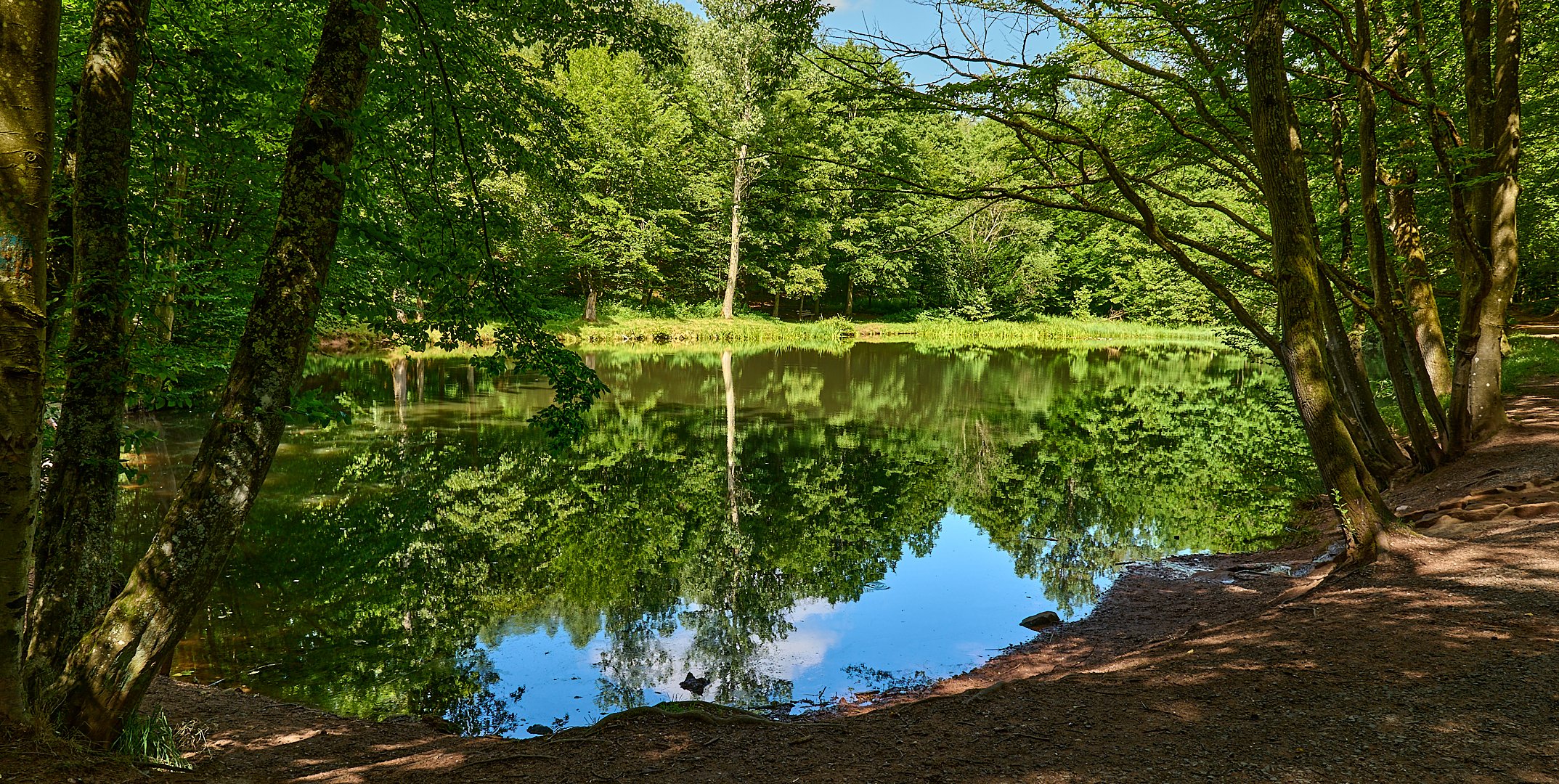 Morgendliche Ruhe und Stille am Teich im Eselsbachtal, er wird auch als Schwarzweiher bezeichnet.