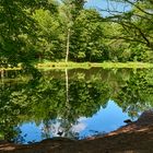 Morgendliche Ruhe und Stille am Teich im Eselsbachtal, er wird auch als Schwarzweiher bezeichnet.