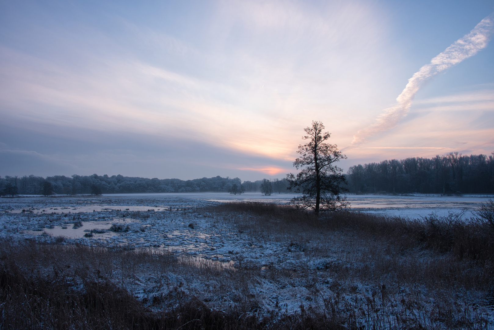 Morgendliche Schneestimmung