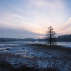 Morgendliche Schneestimmung