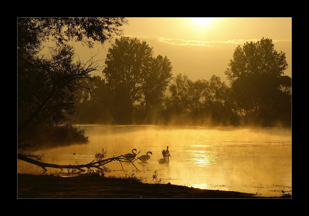 Morgendliche Seeidylle