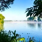 Morgendliche Sommerstimmung am See...Frühnebel herrlich