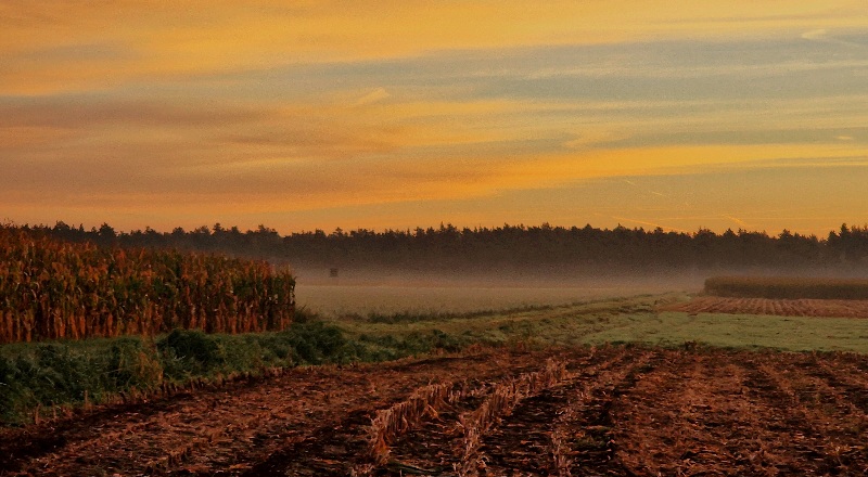 Morgendliche Spaziergänge