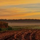 Morgendliche Spaziergänge