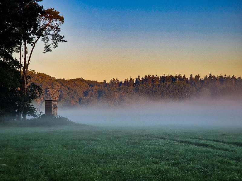 Morgendliche Spaziergänge