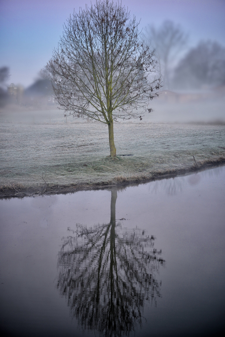 Morgendliche Spiegelung .....nahe des Reihersees