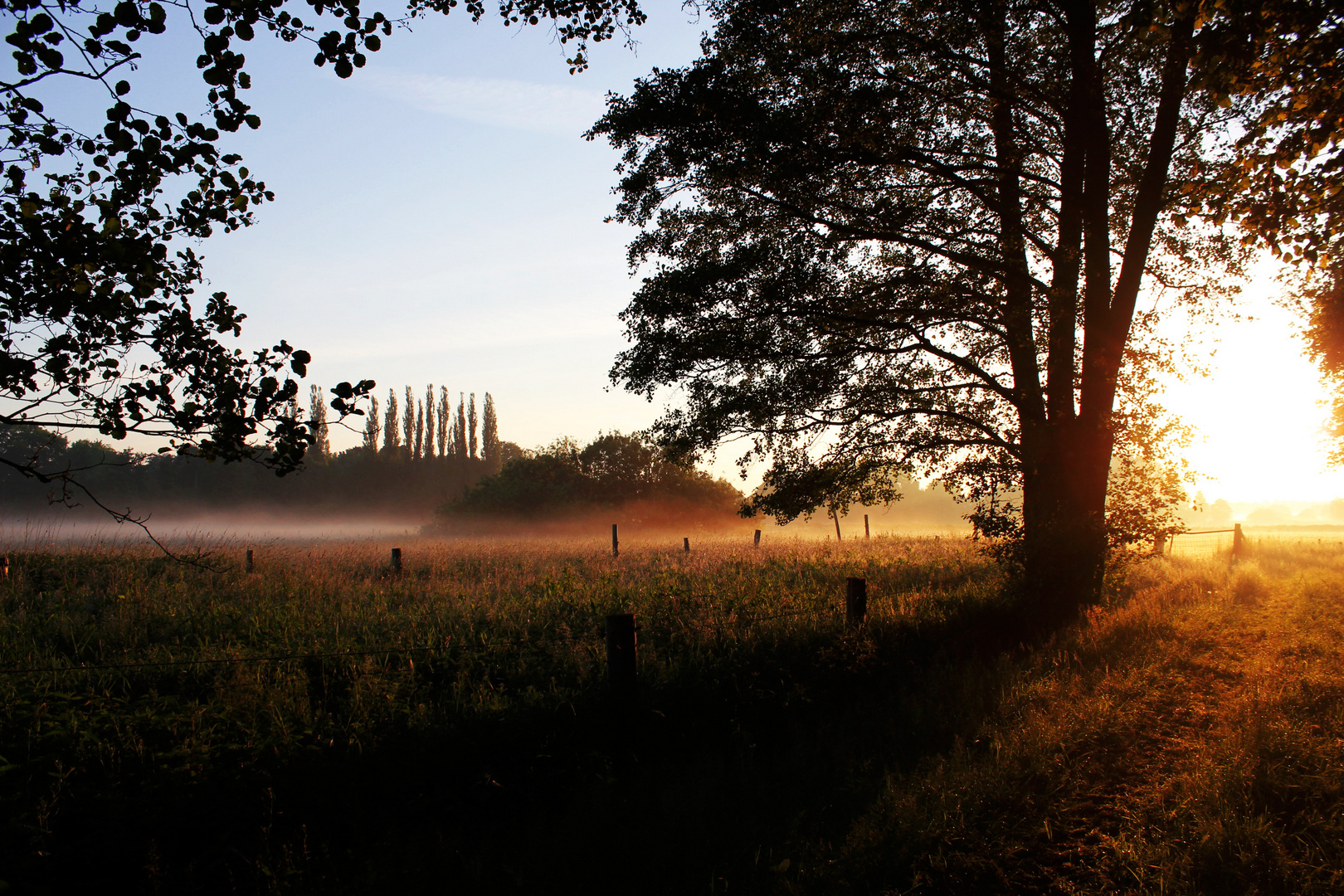 Morgendliche Stille