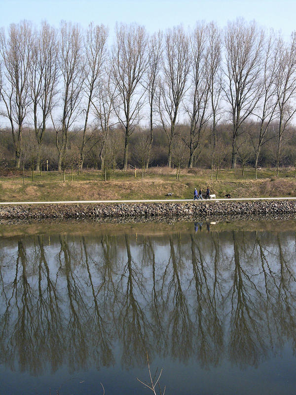 morgendliche Stille am Kanal