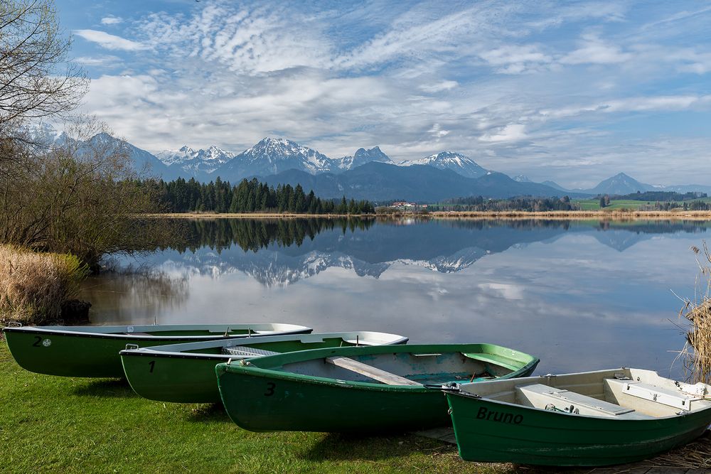 morgendliche Stille am See