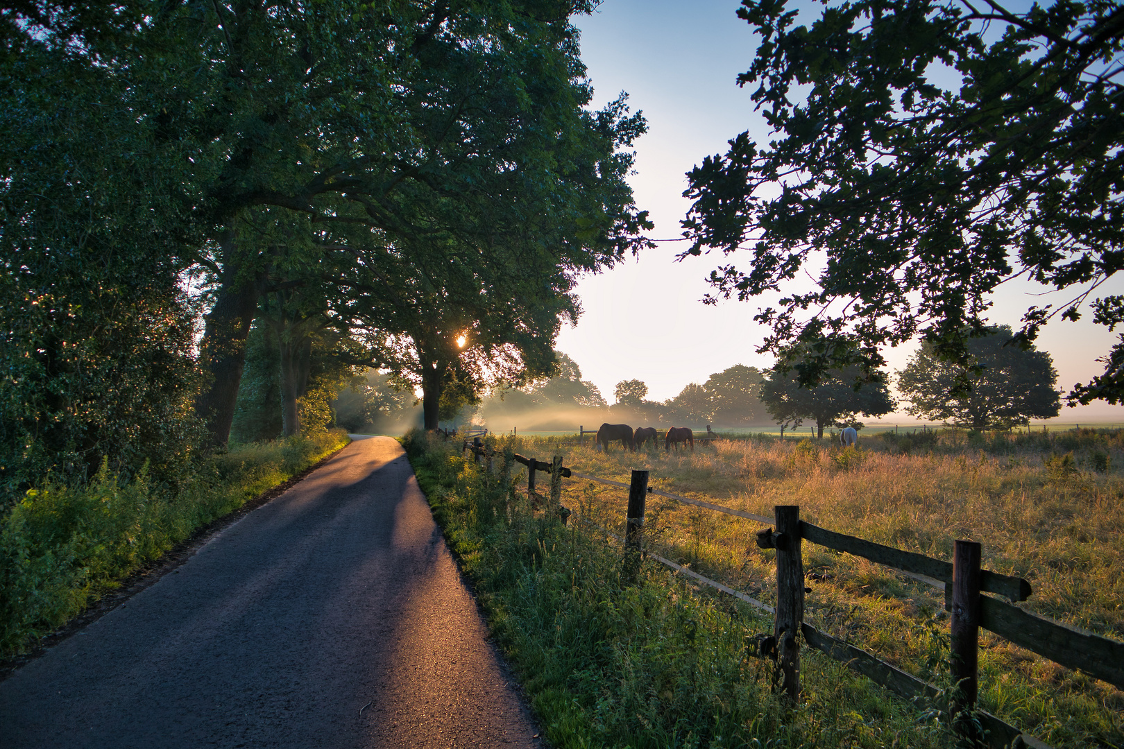 Morgendliche Stimmung