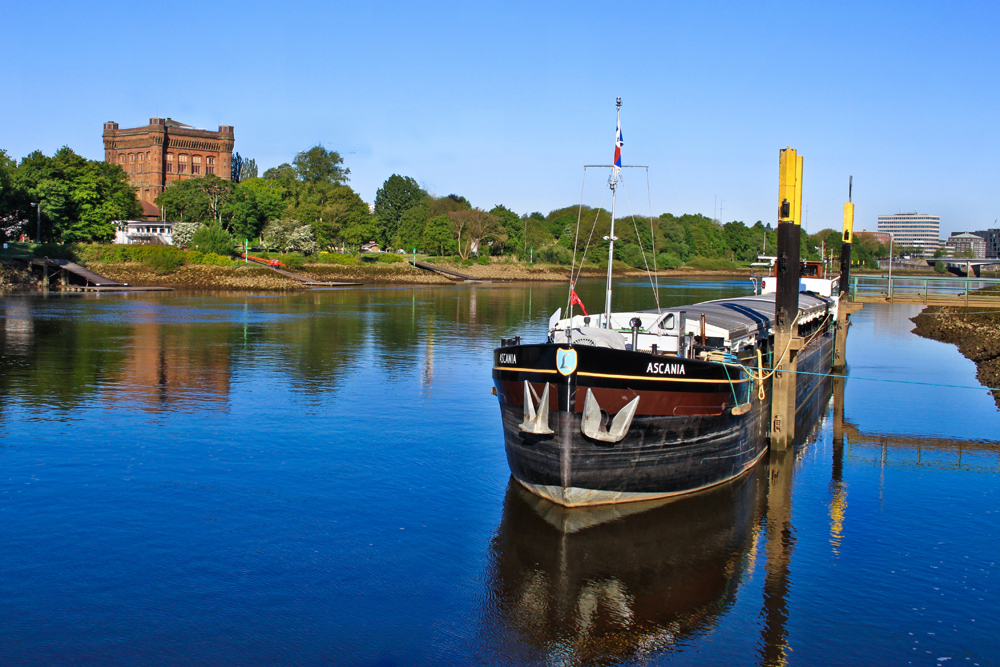 morgendliche Stimmung an der Weser