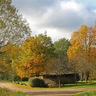 Morgendliche Stimmung Eifel 6