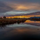 morgendliche Stimmung zu Allerheiligen