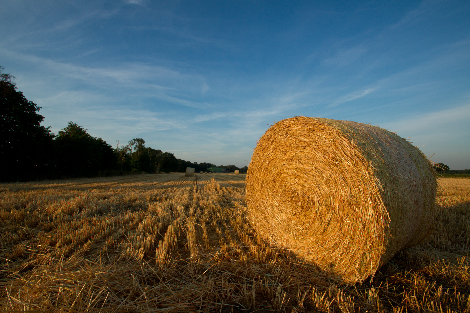 Morgendliche Strohballen