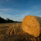 Morgendliche Strohballen