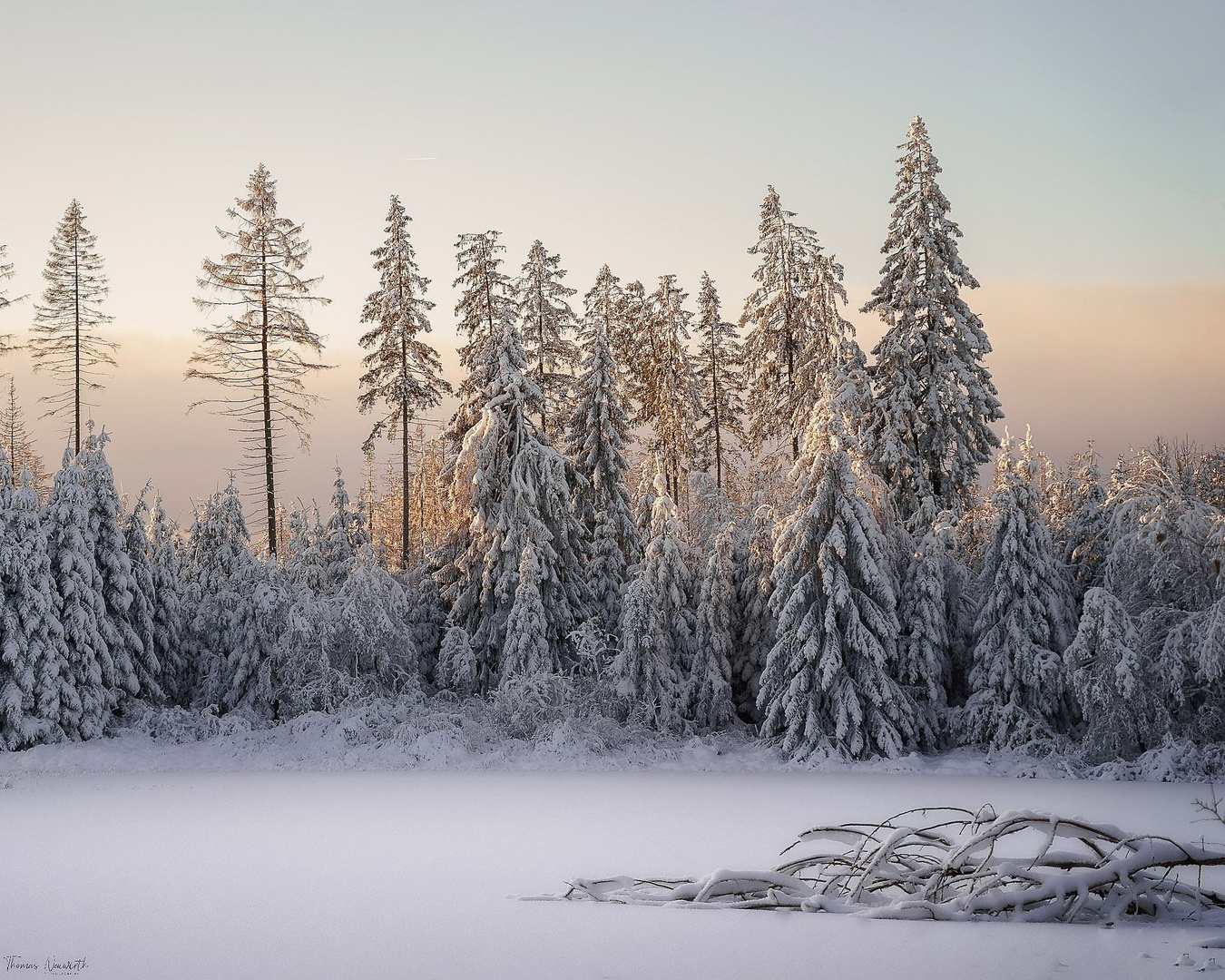 Morgendliche Winteridylle am Marienteich im Harz