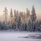 Morgendliche Winteridylle am Marienteich im Harz