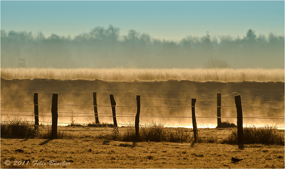 Morgendlicher Atem des Moores