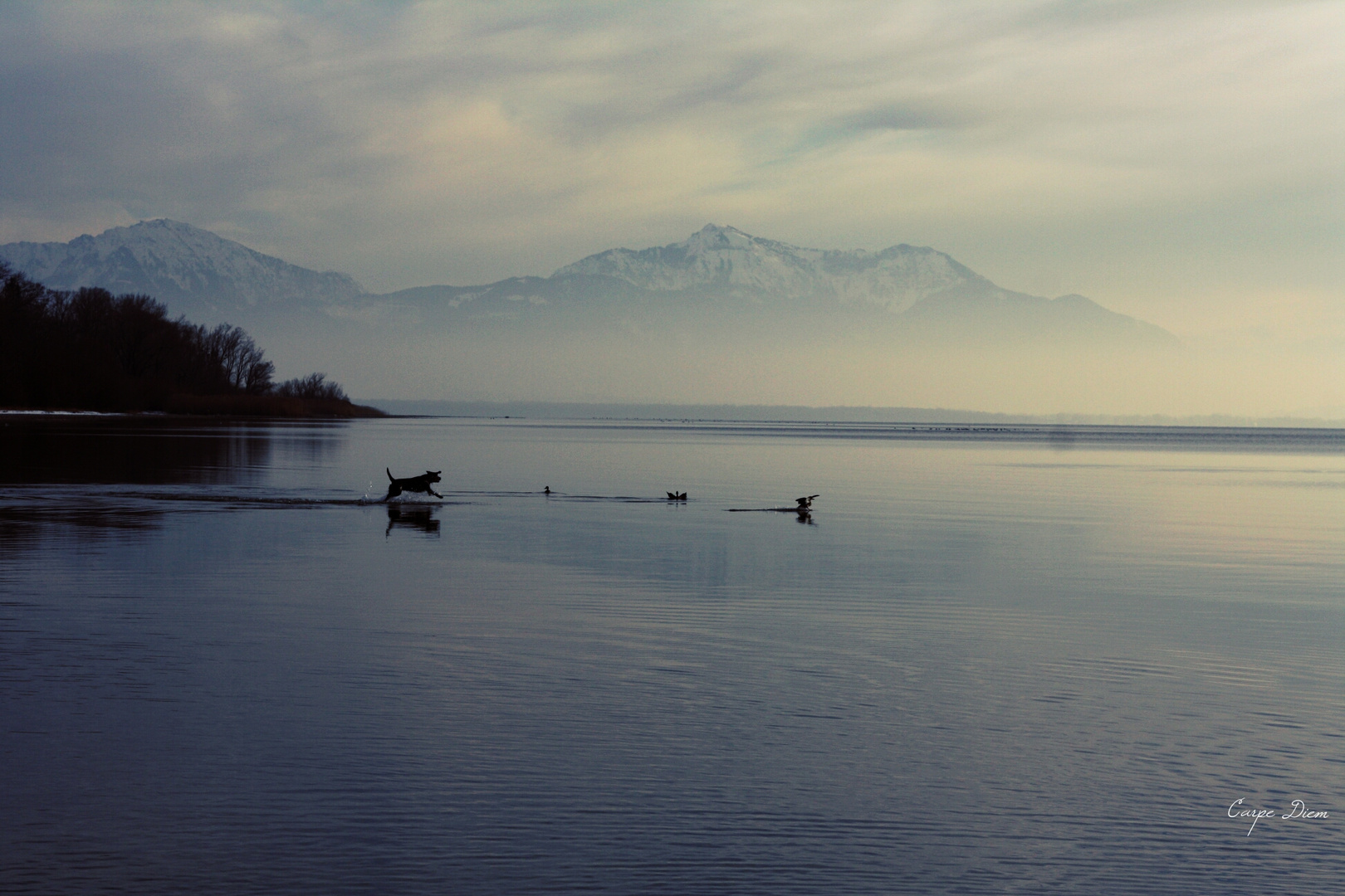 morgendlicher aufschwung