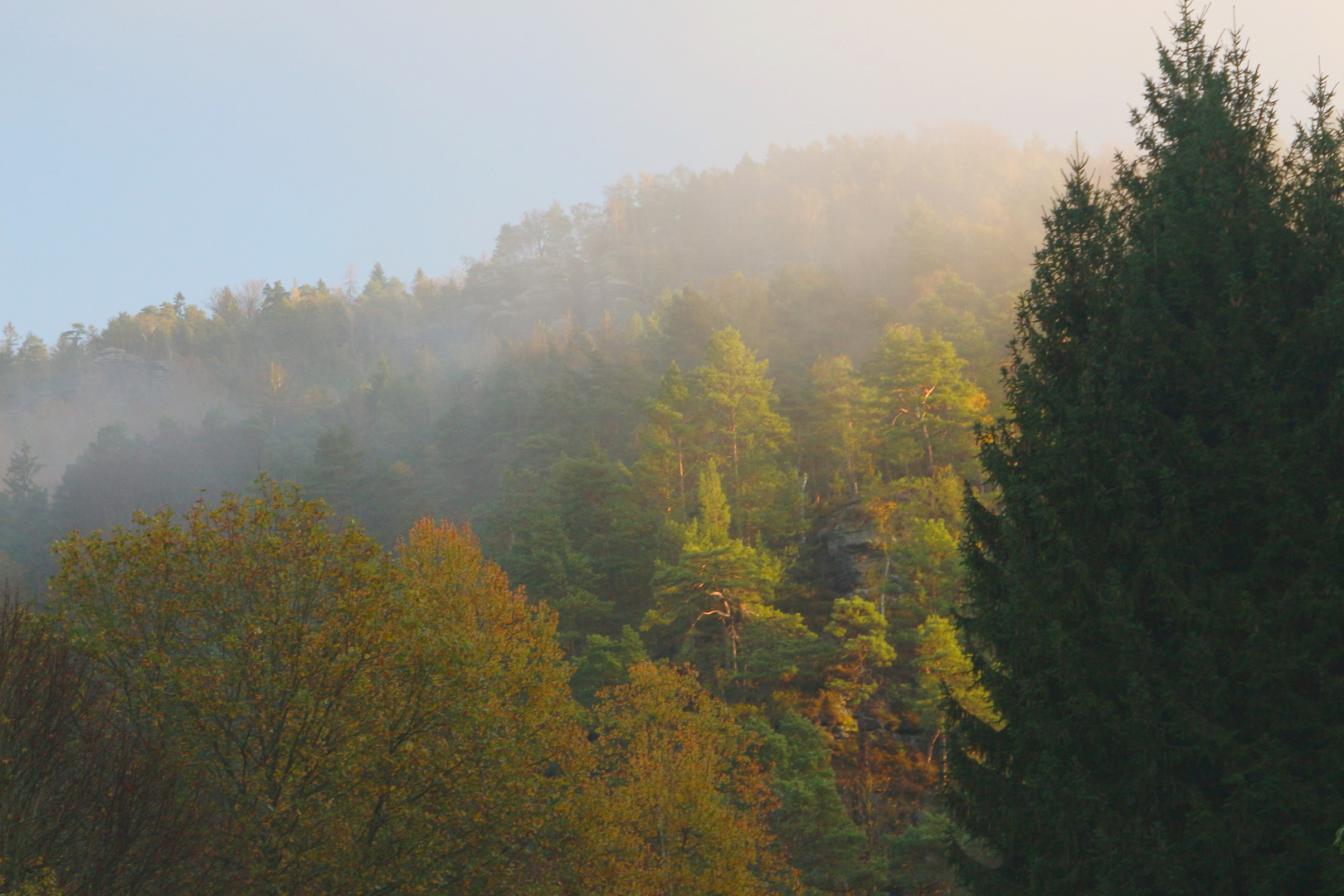 Morgendlicher Ausblick