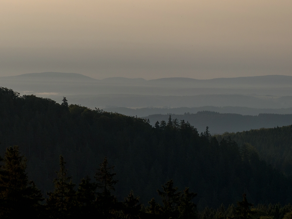 Morgendlicher Ausblick