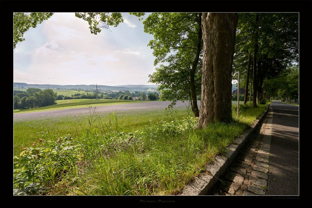 Morgendlicher Ausblick