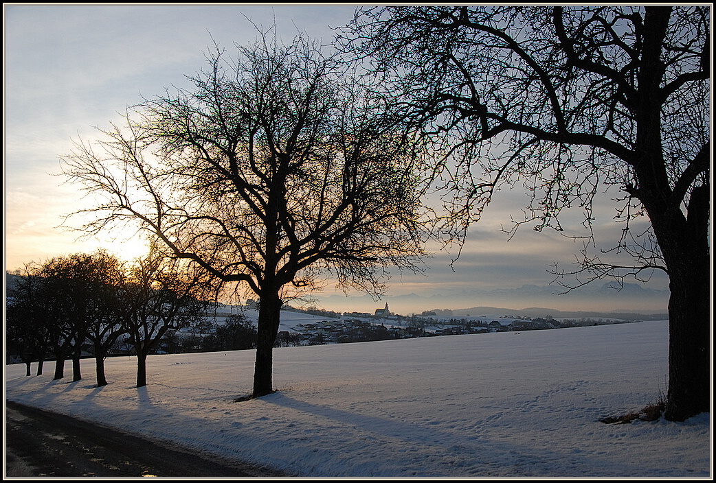 Morgendlicher Blick auf Ottnang