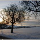 Morgendlicher Blick auf Ottnang