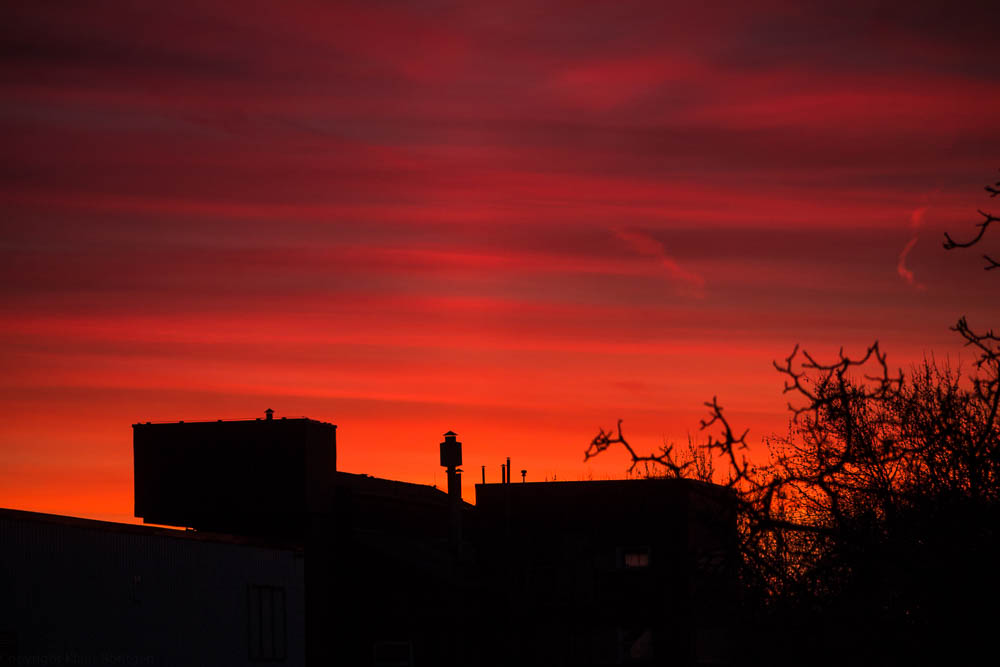 Morgendlicher Blick aus dem Büro