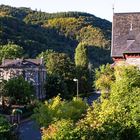 morgendlicher Blick aus dem Fenster 0978