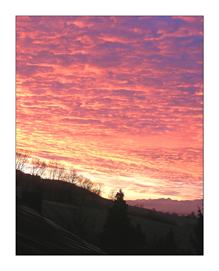 morgendlicher Blick aus dem Fenster