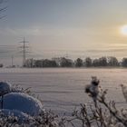 Morgendlicher Blick aus meinem Garten