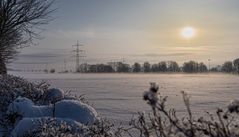 Morgendlicher Blick aus meinem Garten