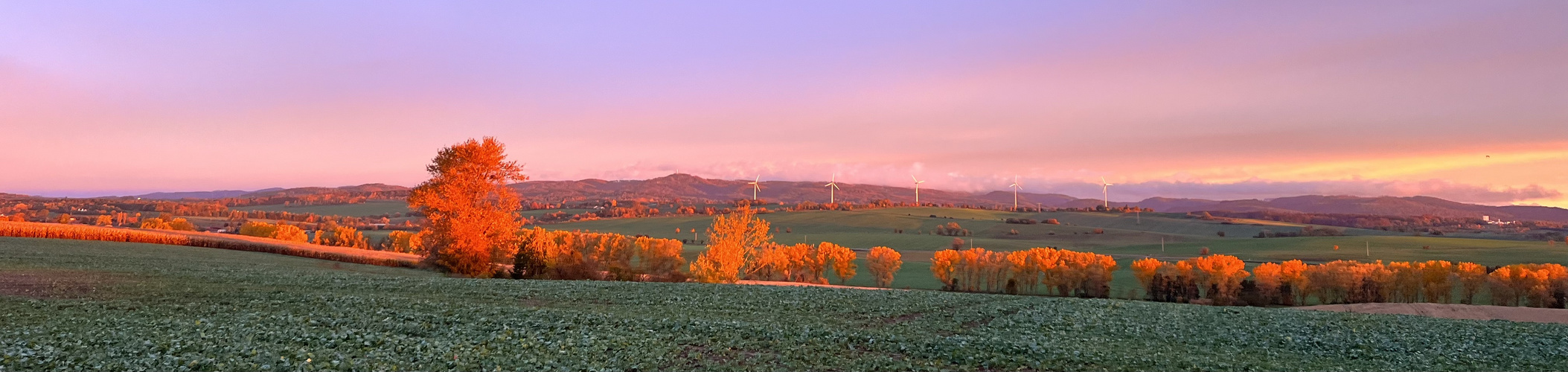 Morgendlicher Blick in den Harz