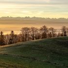 Morgendlicher Blick ins Mittelland