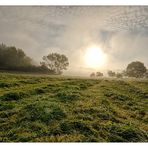 Morgendlicher Blick über das Feld....