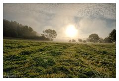 Morgendlicher Blick über das Feld....