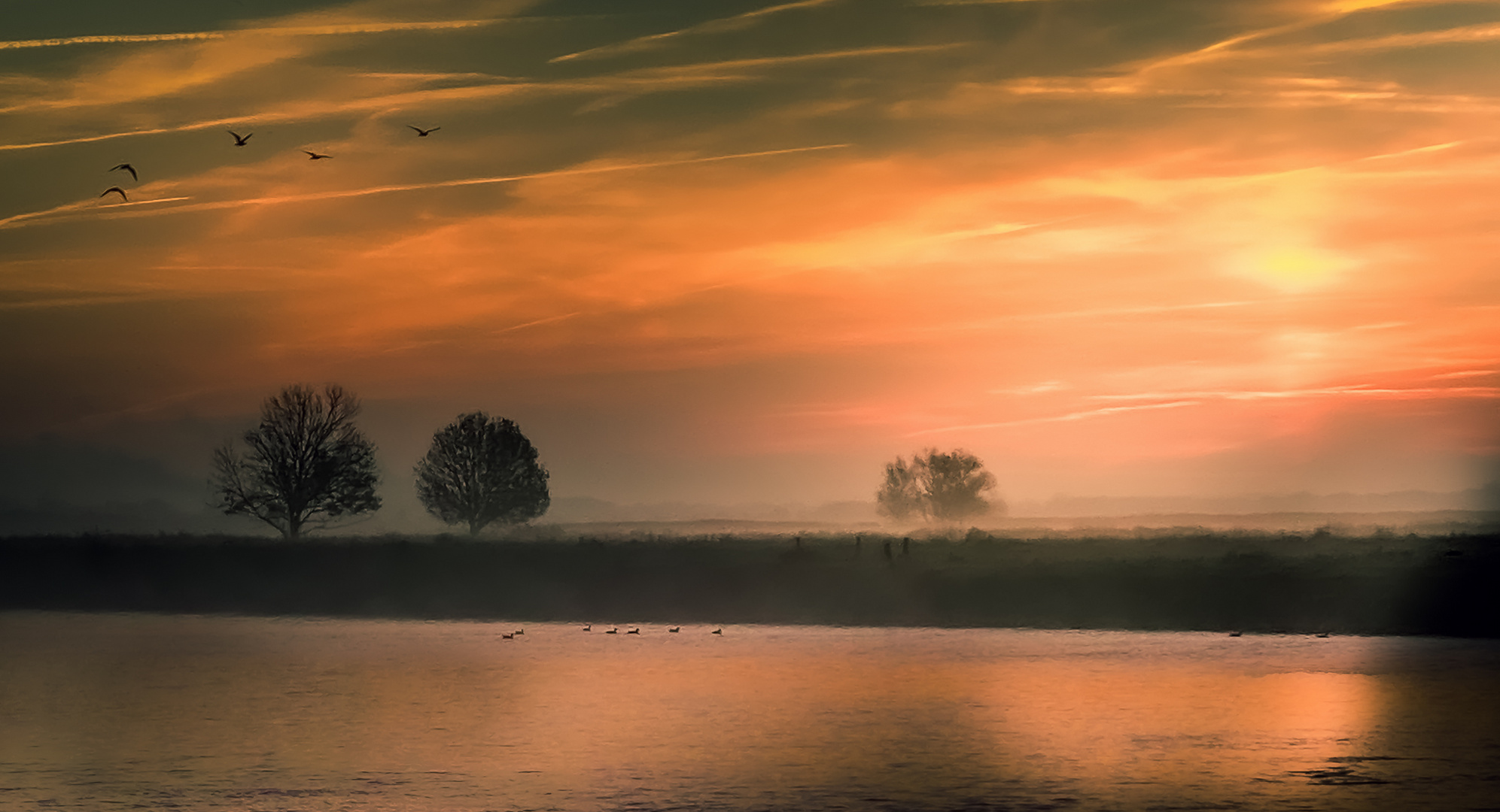 Morgendlicher Blick über die Elbe