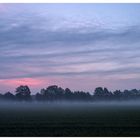 Morgendlicher Bodennebel