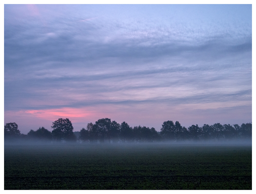 Morgendlicher Bodennebel