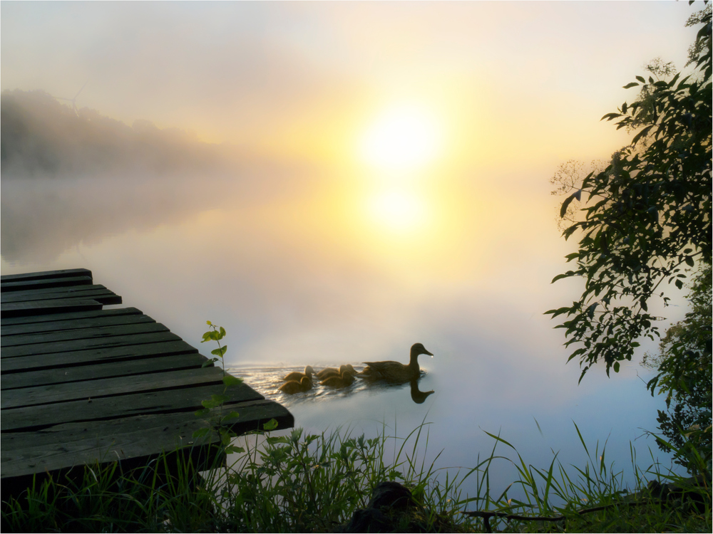 "Morgendlicher Familienausflug"