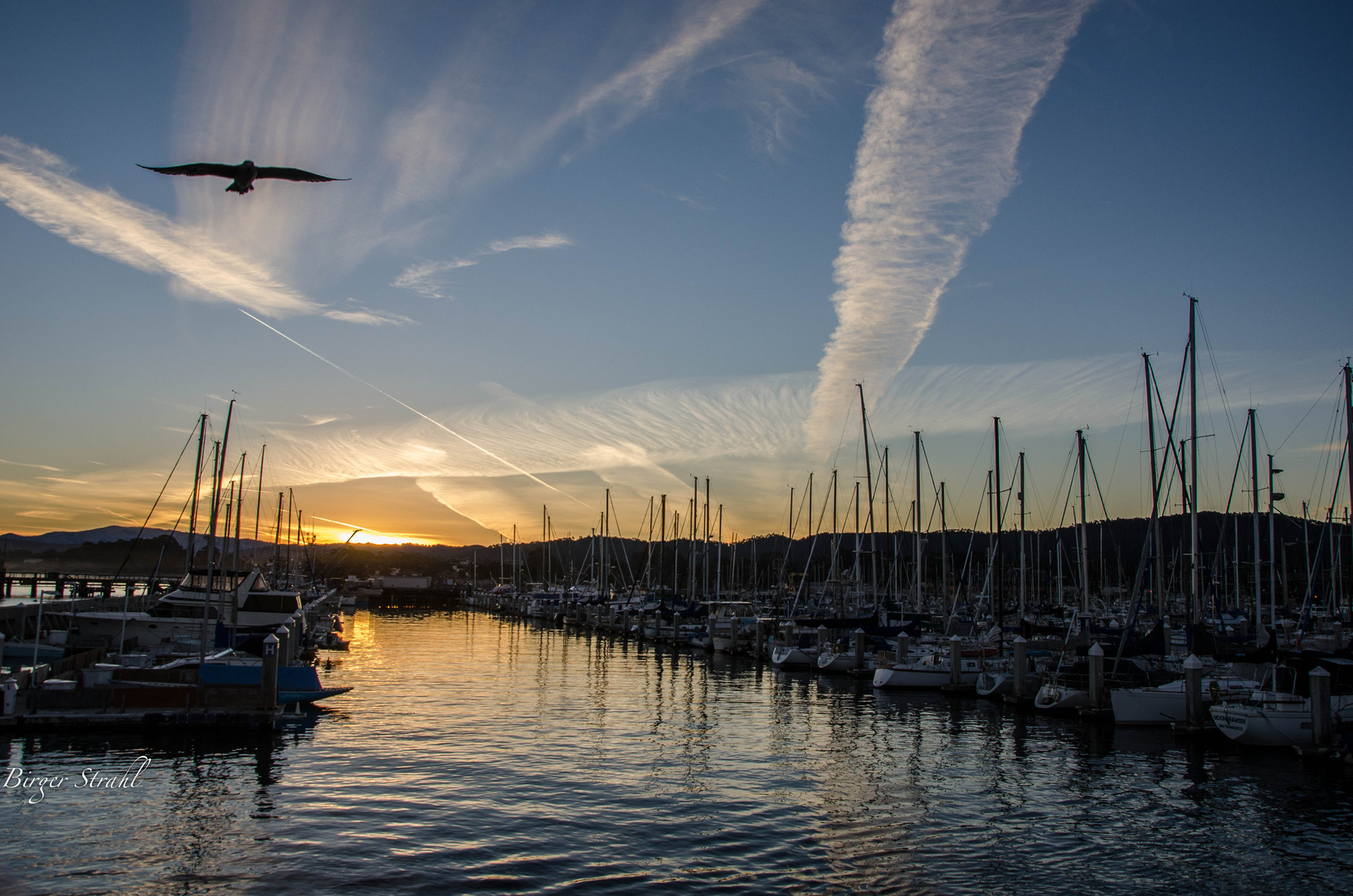 Morgendlicher Flugverkehr über Monterey