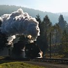Morgendlicher Güterzug verlässt Schmalzgrube